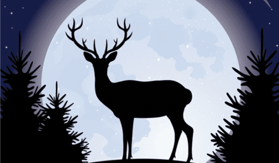 The silhouette of a deer stood on a hill in front of the moon. there are shadows of tress on either side.
