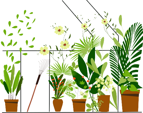 A coloured drawing of a variety of plants and flowers in pots. There is also a rake amidst the plants.